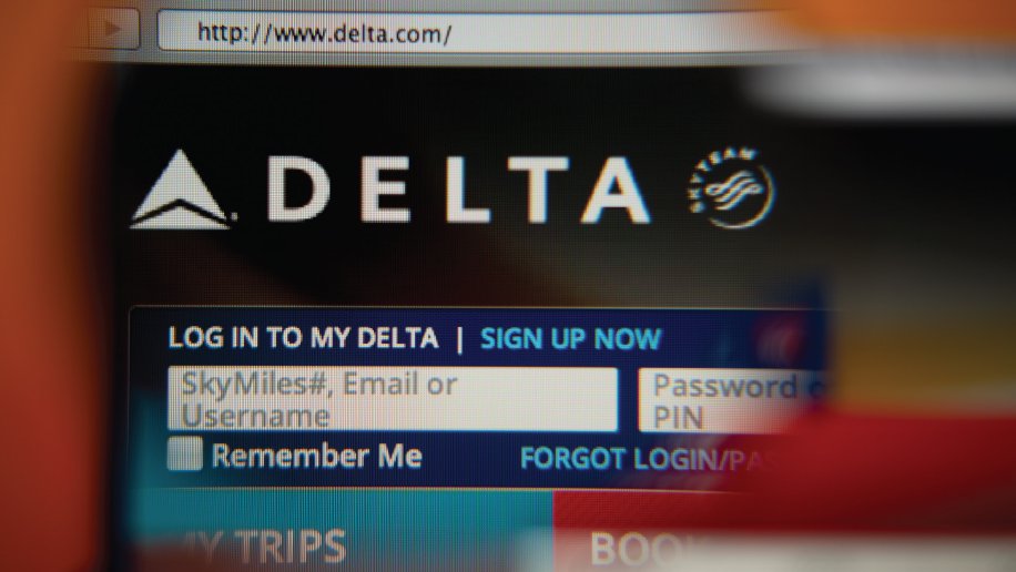 Delta website snapshot