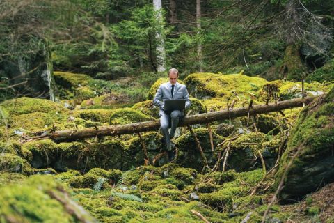 Man working on a laptop in a forest