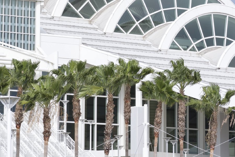 Convention center with palm trees
