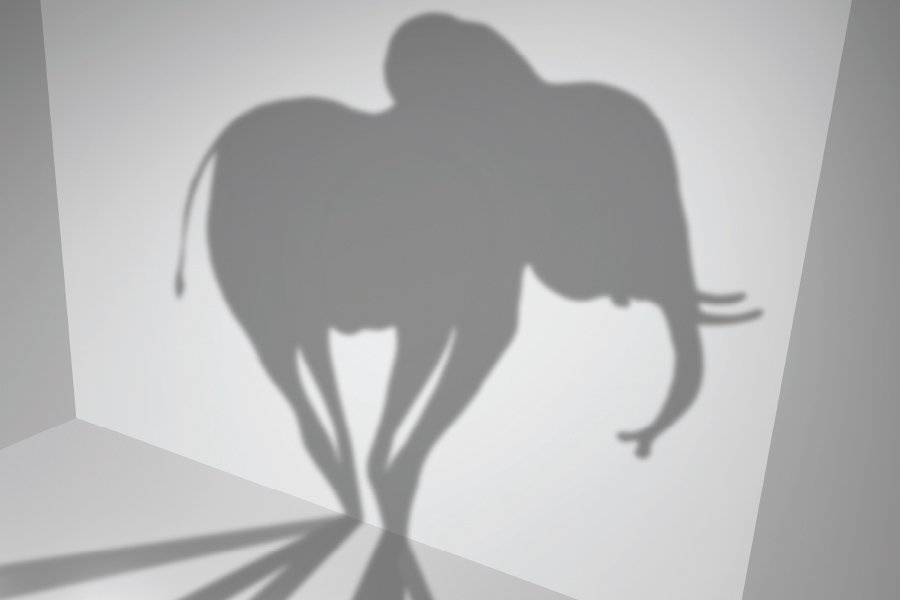 Elephant shadow.