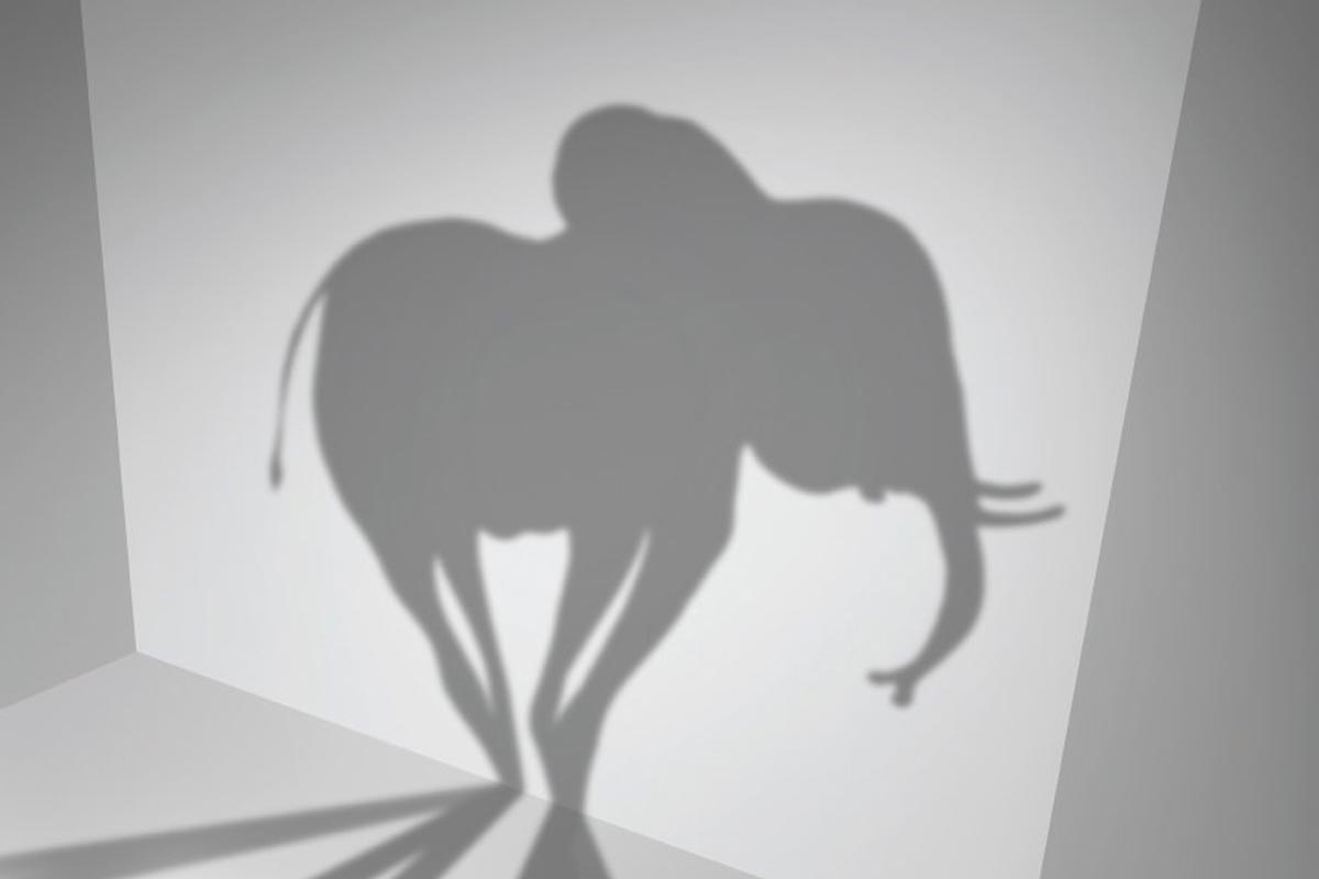 elephant