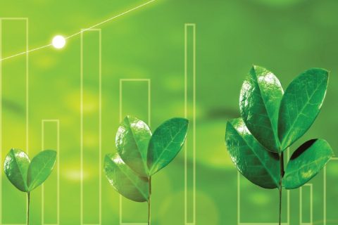 Green leaves in a futuristic image.